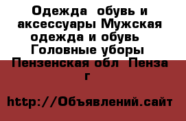 Одежда, обувь и аксессуары Мужская одежда и обувь - Головные уборы. Пензенская обл.,Пенза г.